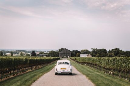 Wedding day transportation for guests.