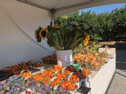 A farmer’s market near Niagara-on-the-Lake.