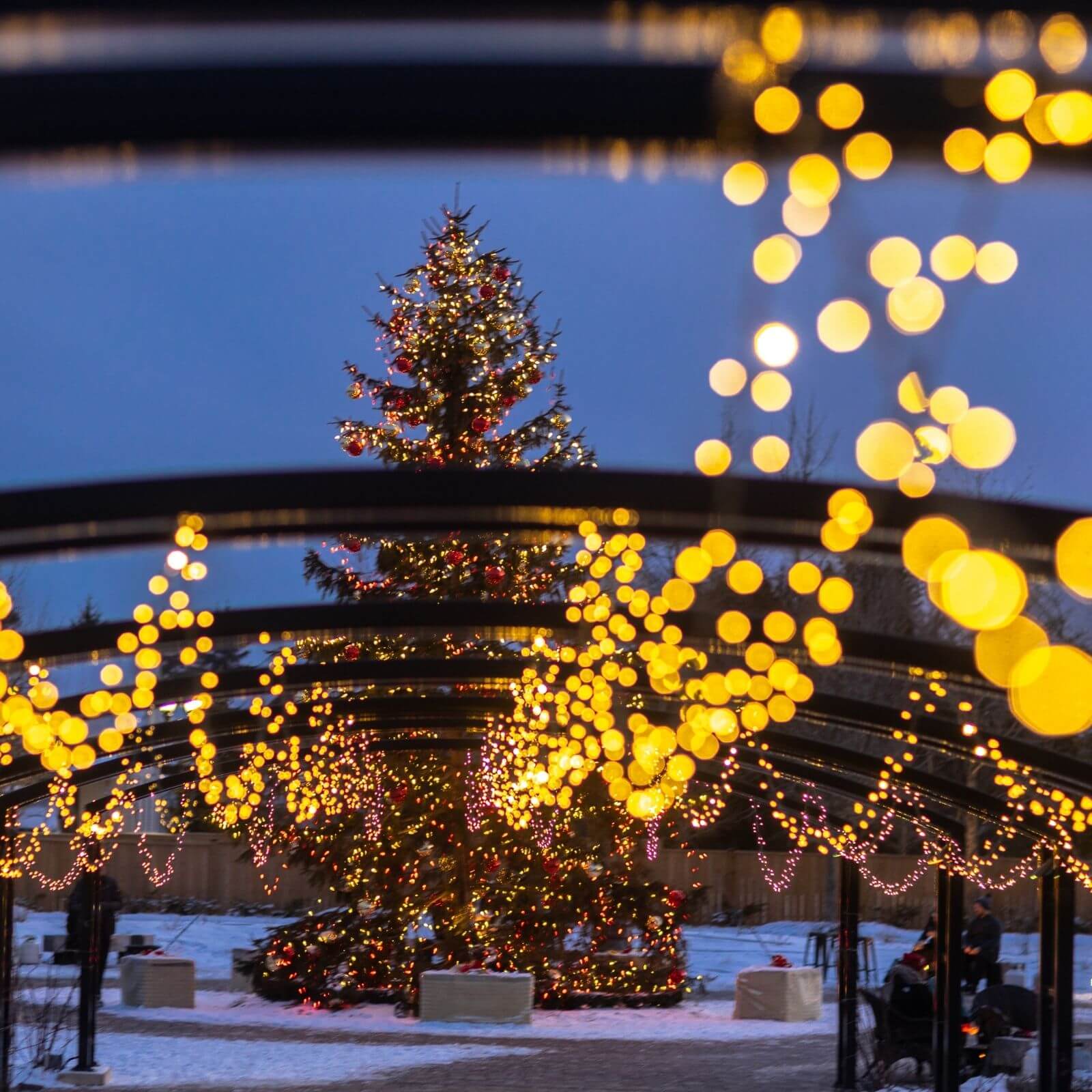 Christmas Wonderland Gardens Package In Niagara-On-The-Lake