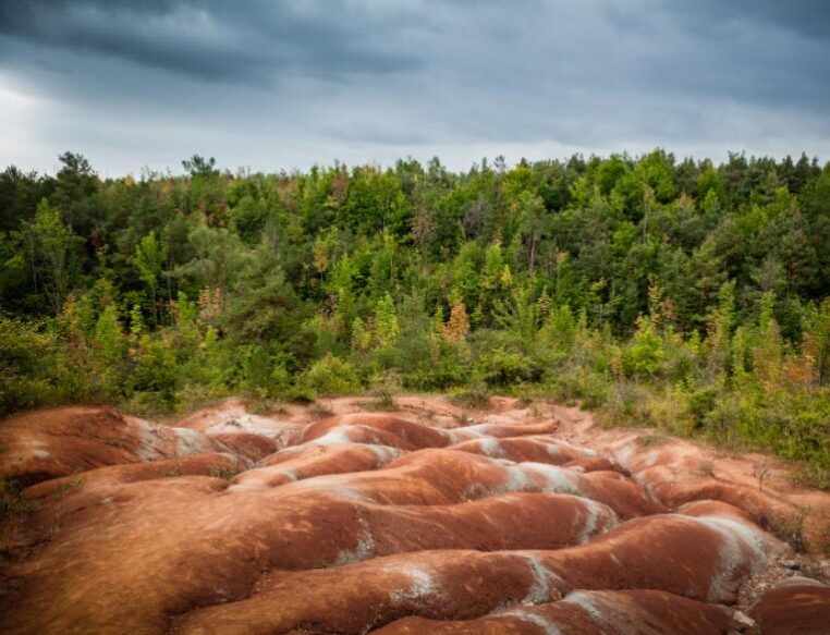 Hiking and Outdoor Experiences in Caledon, Ontario