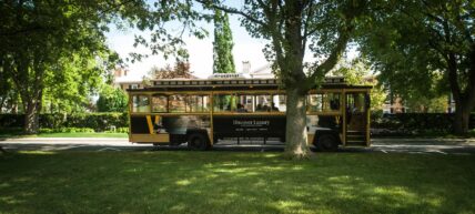 A wine tasting team building activity in Niagara-on-the-Lake.