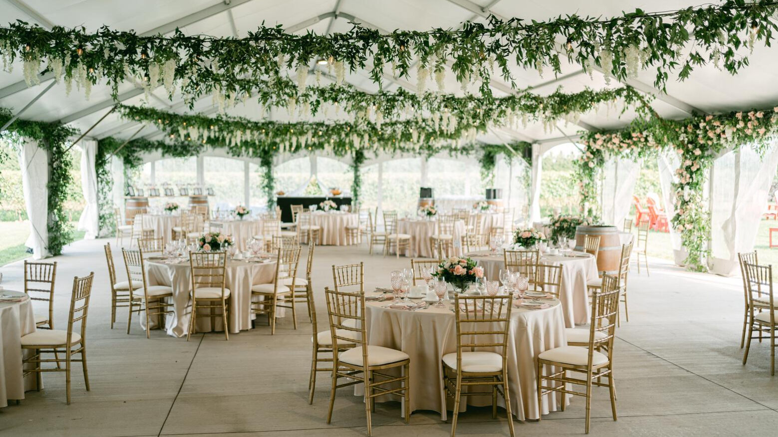 A large wedding reception held at the Bella Terra Vineyards.