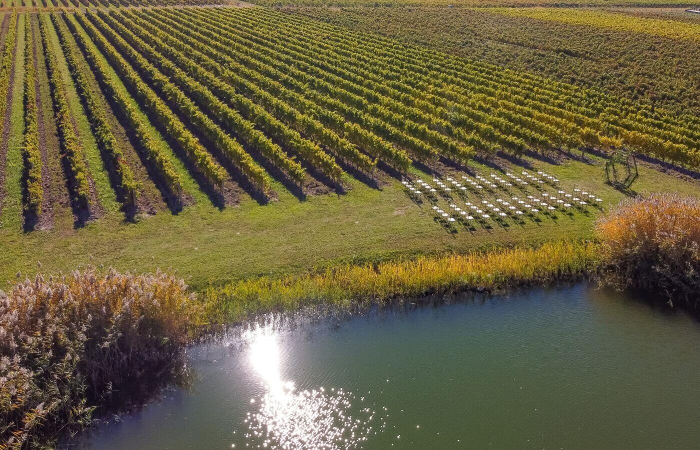 A wedding set up along the vineyards of Bella Terra Vineyards for a winery wedding in Niagara on the Lake