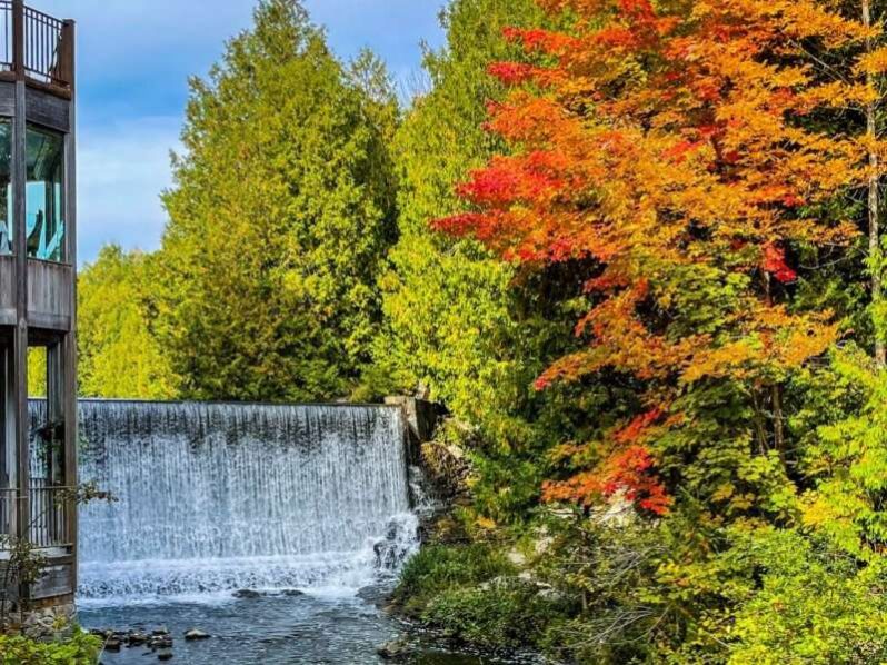 Fall trees at Millcroft Inn & Spa in Caledon