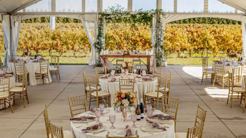 Seating arrangements for a wine country wedding at Bella Terra Vineyards in Niagara