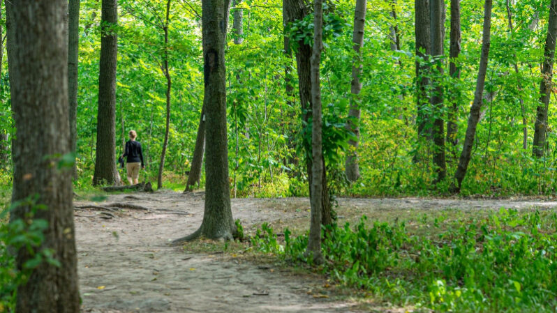 Hiking trails in the Niagara Region