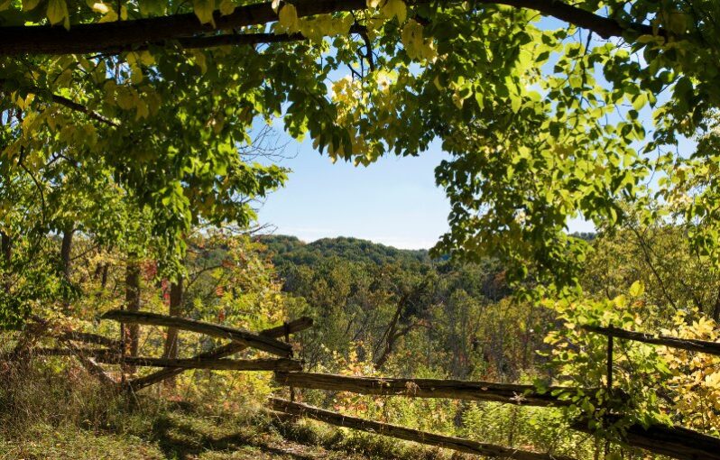 Views from the hiking trails in Twenty Valley