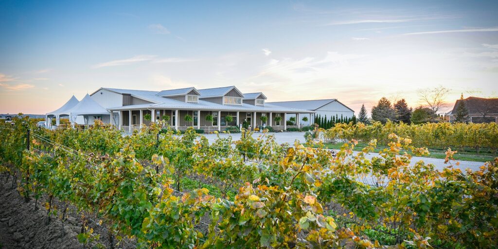 Bella Terra Vineyards, part of the Vintage Hotels wine trolley tour in Niagara on the Lake