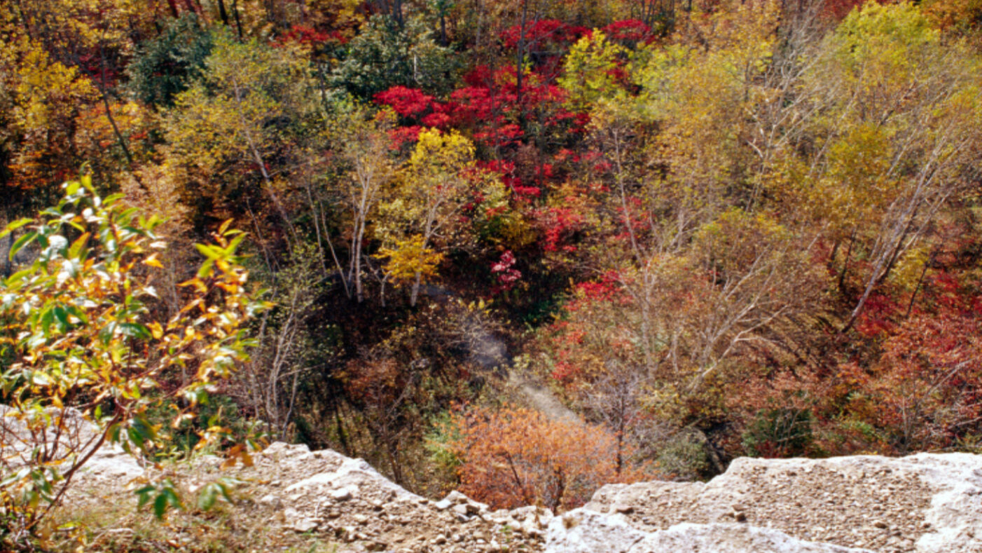 A popular birdwatching park in the Niagara Benchlands