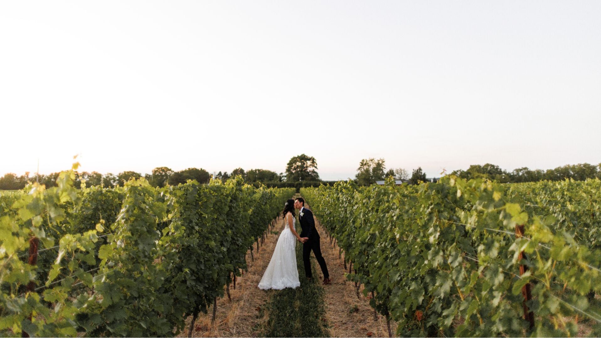 A newly married couple kisses at a Niagara Winery Wedding Venue