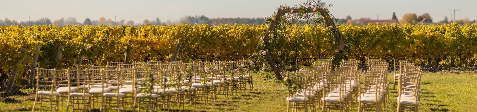 Vineyard wedding ceremony at Bella Terra Vineyards in Niagara-on-the-Lake