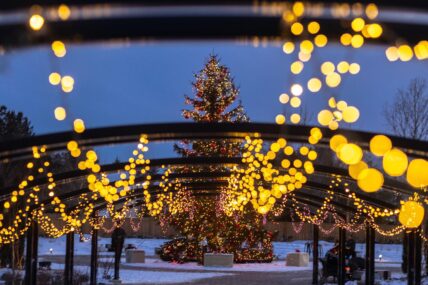 Holiday movies under the stars in The Gardens at Pillar and Post in Niagara-on-the-Lake.