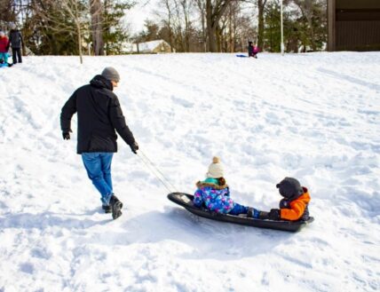 Sledding in Simcoe Park, Niagara-on-the-Lake.