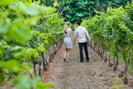 A couple exploring the vineyards near Jordan Village during their birthday getaway.