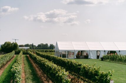 The Bella Terra Vineyards set up for a wedding in Niagara-on-the-Lake.