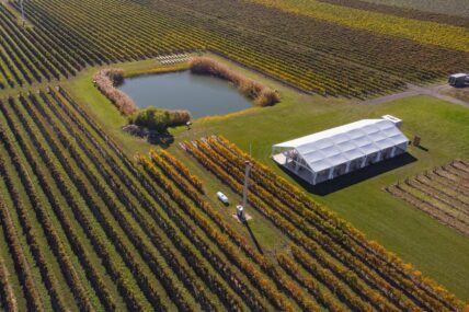 An overview of the Bella Terra Vineyards in Niagara-on-the-Lake.