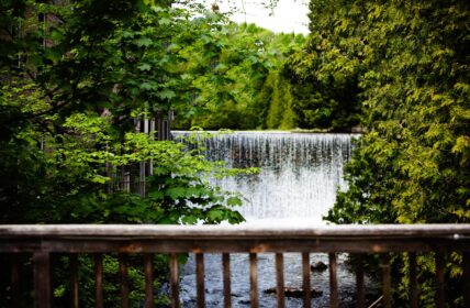 The natural beauty surrounding Millcroft Inn & Spa in Caledon, Ontario.